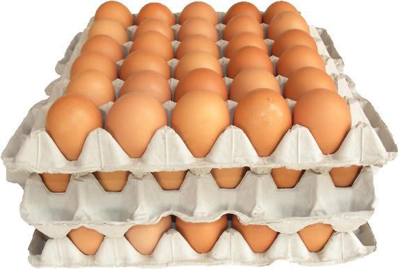 HUEVOS CARTON 30 UNIDADES