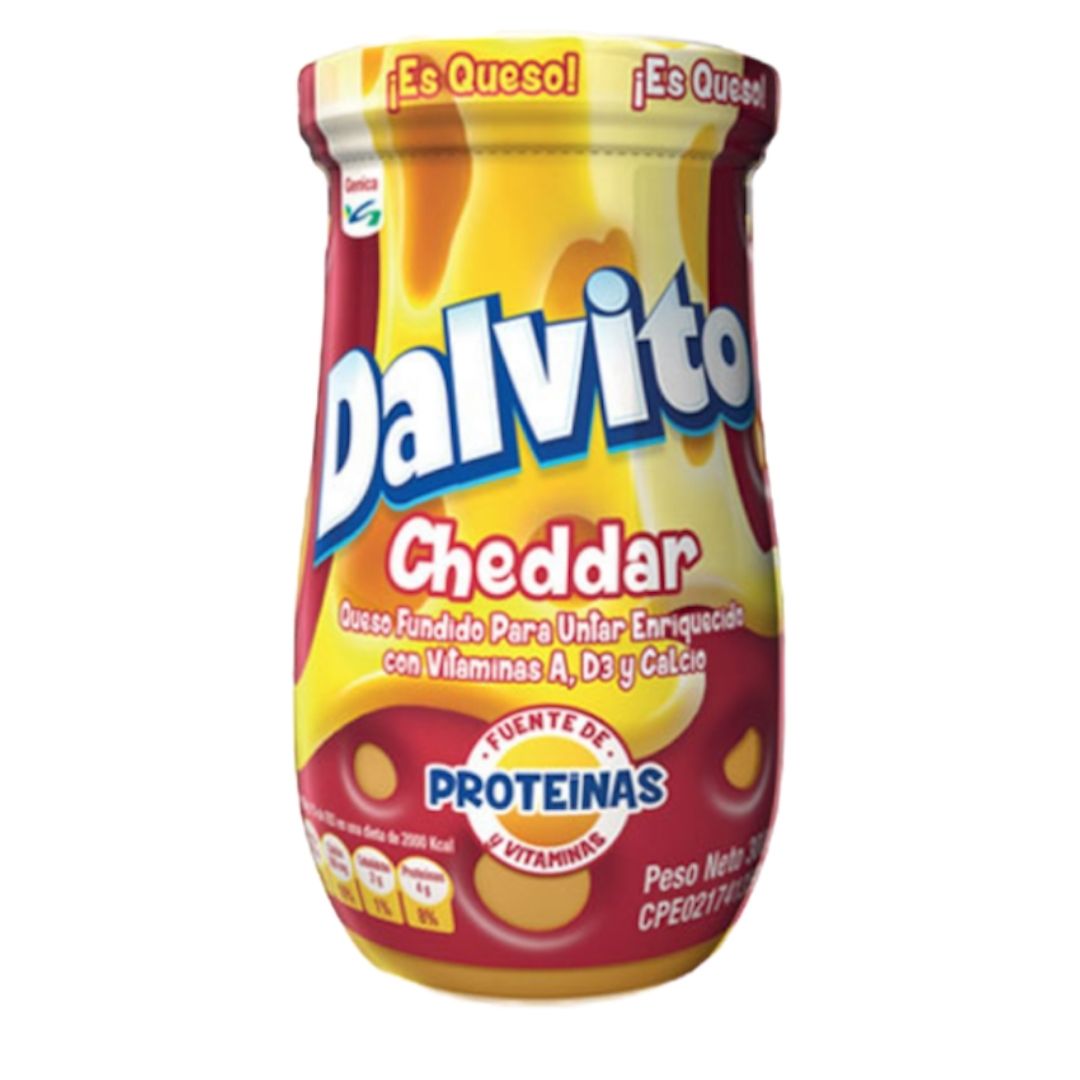 DALVITO QUESO FUNDIDO 300GR