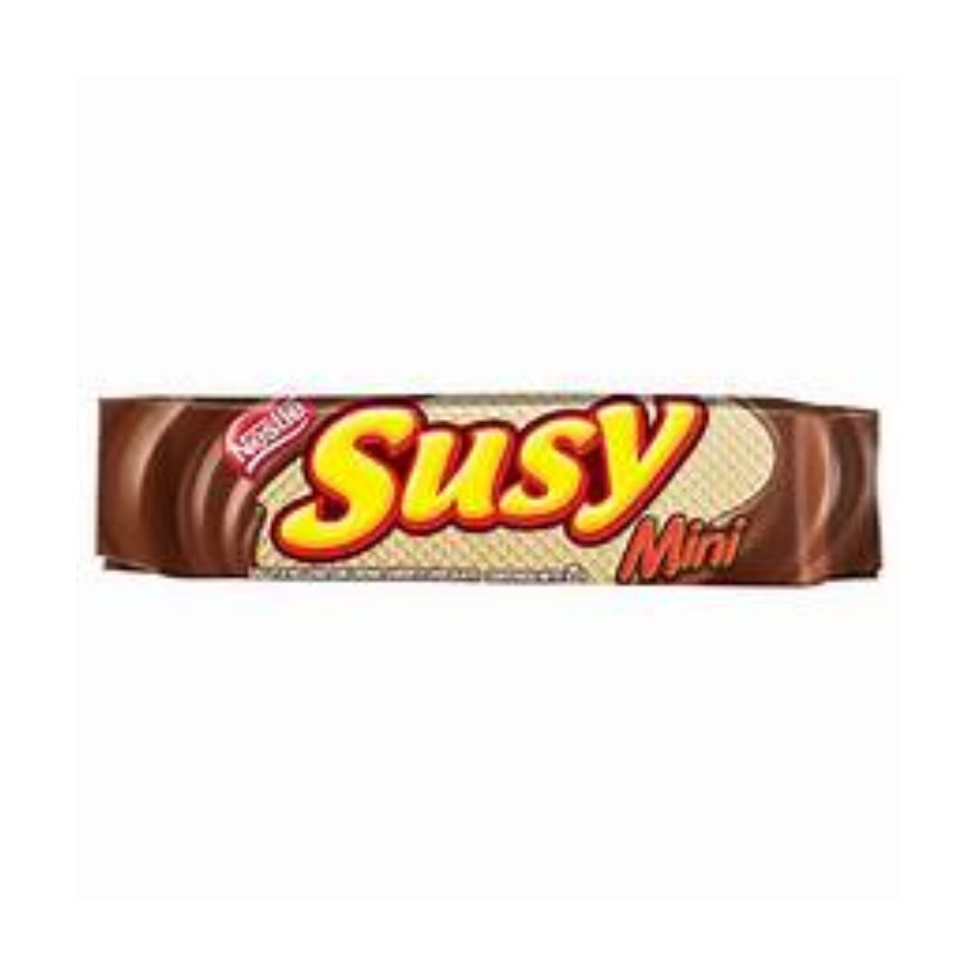 SUSY MINI