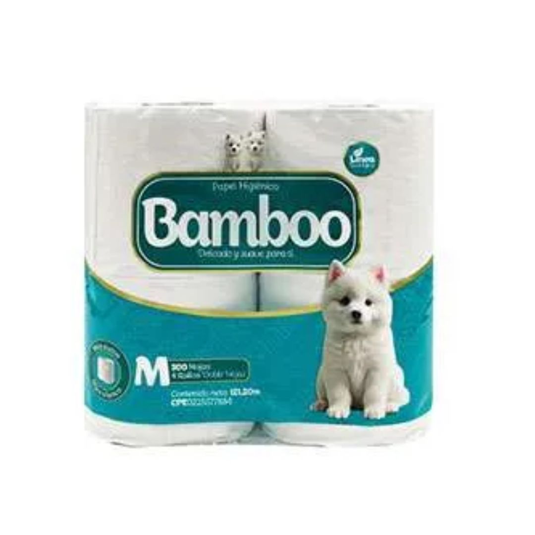 PAPEL BAMBOO 300 H